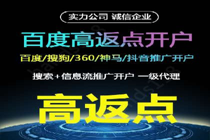 探索百度竞价广告的未来趋势：基于多案例的分析